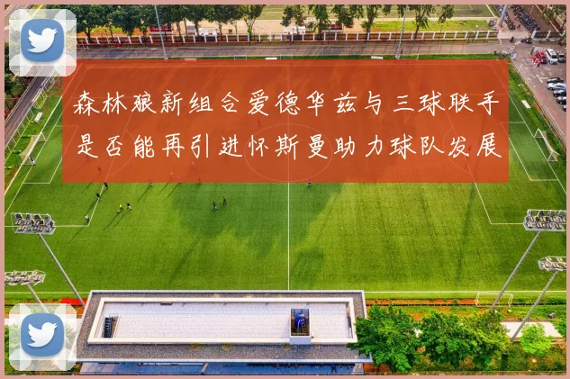 森林狼新组合爱德华兹与三球联手是否能再引进怀斯曼助力球队发展