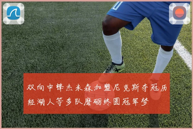 双向中锋杰米森加盟尼克斯夺冠历经湖人等多队磨砺终圆冠军梦